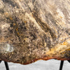 Petrified Wood Artifact on Stand – Raw Stone Slice for Interior Display | Nature-Inspired Home Accent | Ancient Mineral Form - PetW,A/003