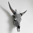 Real Carved Cow Skull with Carved Horns 23/ETSY/222