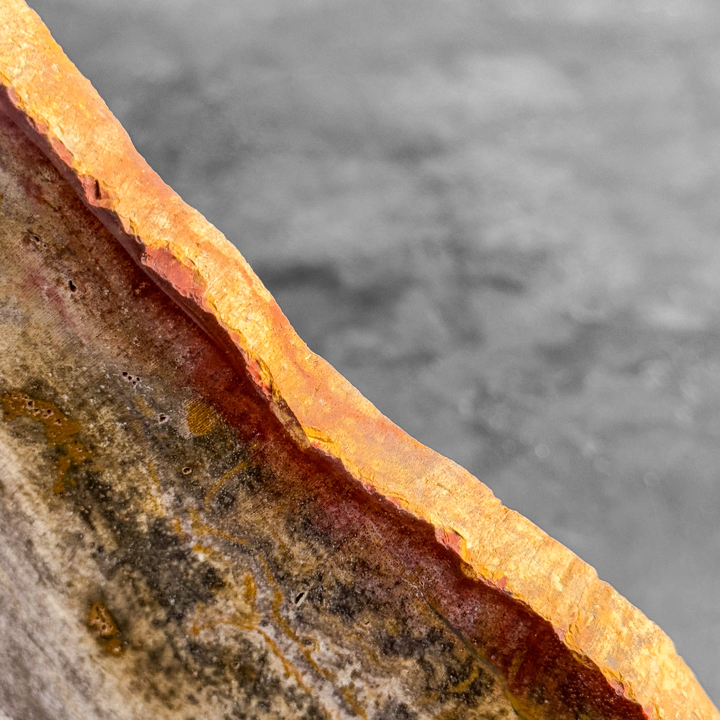Petrified Wood Artifact on Stand – Raw Stone Slice for Interior Display | Nature-Inspired Home Accent | Ancient Mineral Form - PetW,A/003