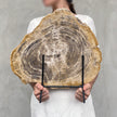 Beautiful Slice of Petrified Wood on stand - G1/149