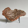 Beautiful Slice of Petrified Wood on stand PetW/092