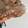 Beautiful Slice of Petrified Wood on stand PetW/092