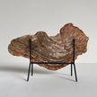 Beautiful Slice of Petrified Wood on stand PetW/092