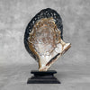 Mother of Pearl Round Ganesha carving T1/026