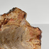 Beautiful Slice of Petrified Wood on stand PetW/094