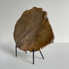 Beautiful Slice of Petrified Wood on stand PetW/093