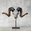 Carved Ram Skull with Flower Of life motif on stand - Skull,A/158