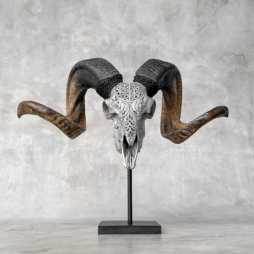 Carved Ram Skull with Flower Of life motif on stand - Skull,A/158