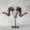 Carved Ram Skull with Flower Of life motif on stand - Skull,A/158