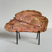 Beautiful Slice of Petrified Wood on stand PetW/091