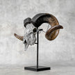 Carved Ram Skull with Flower Of life motif on stand - Skull,A/158