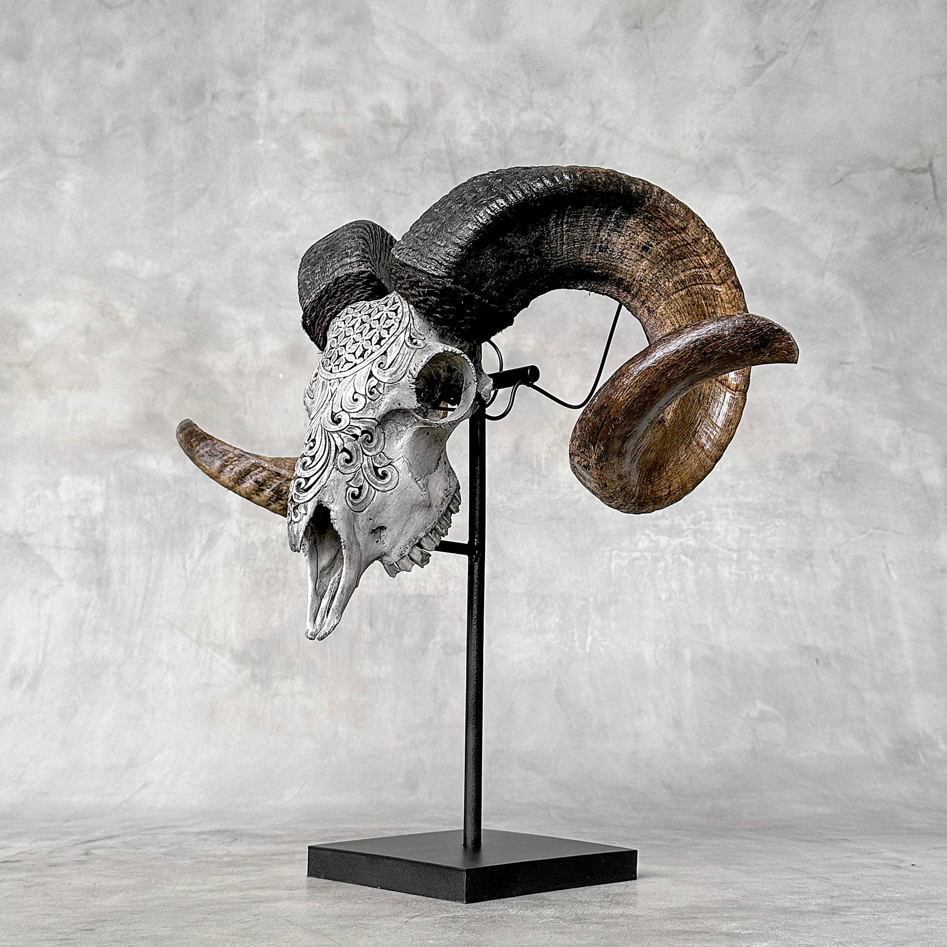 Carved Ram Skull with Flower Of life motif on stand - Skull,A/158