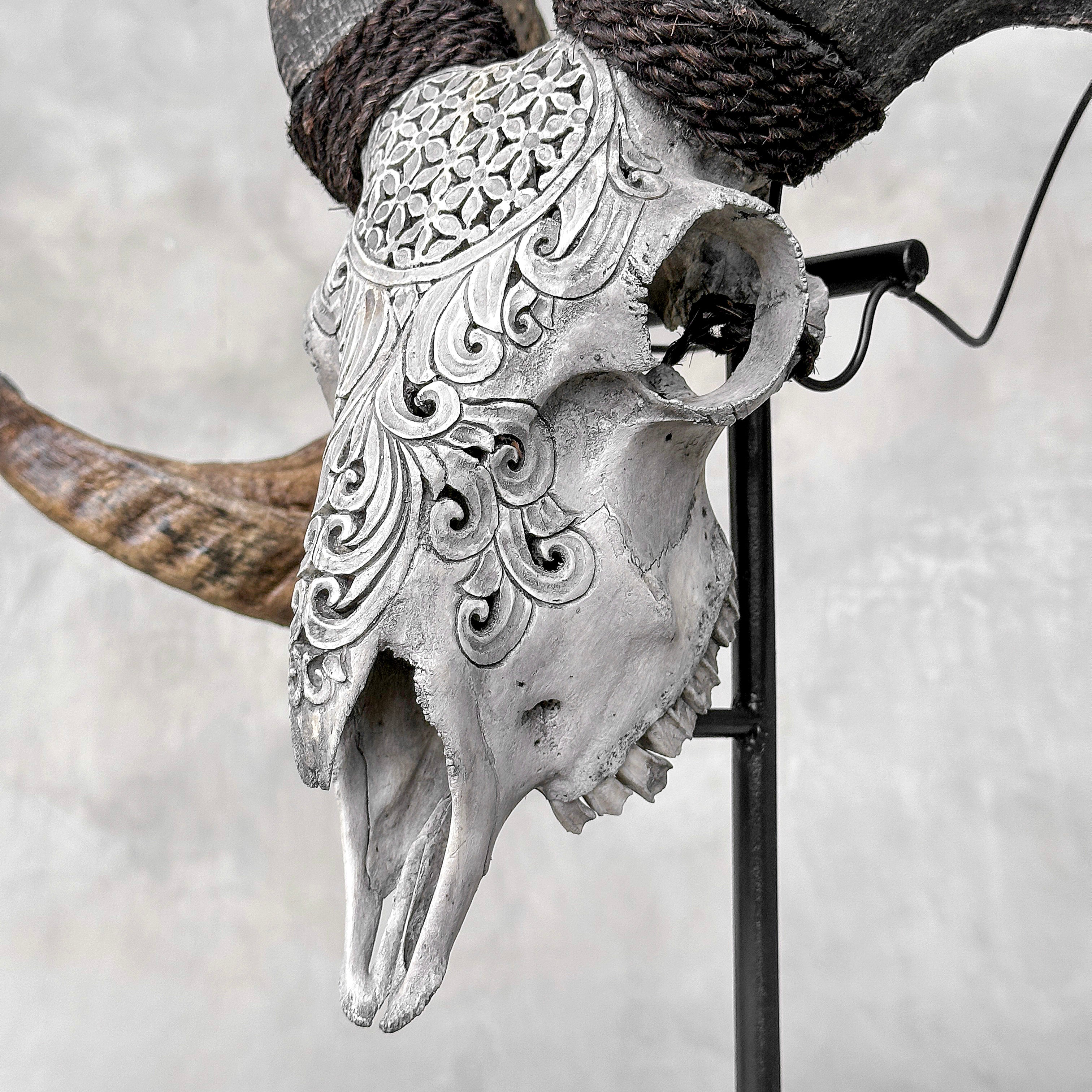 Carved Ram Skull with Flower Of life motif on stand - Skull,A/158