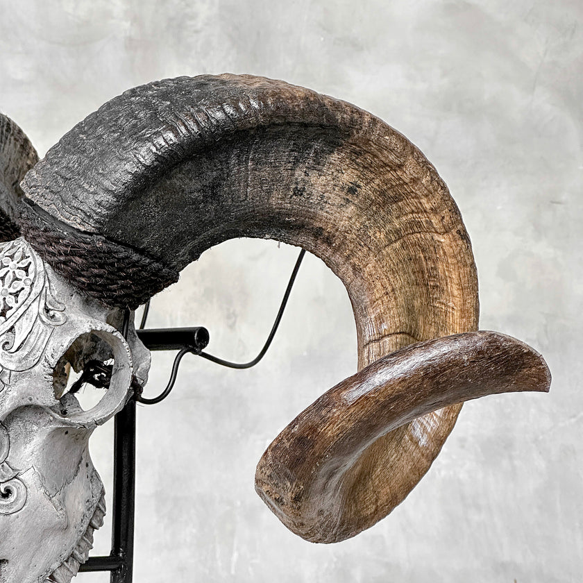 Carved Ram Skull with Flower Of life motif on stand - Skull,A/158
