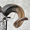 Carved Ram Skull with Flower Of life motif on stand - Skull,A/158