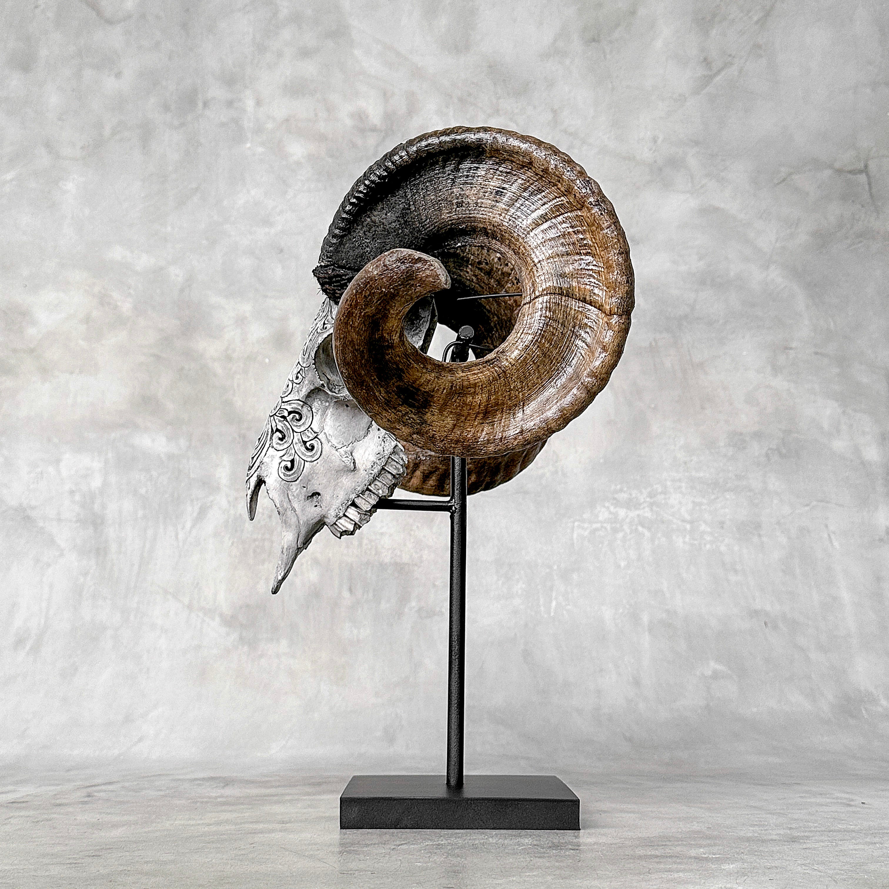 Carved Ram Skull with Flower Of life motif on stand - Skull,A/158