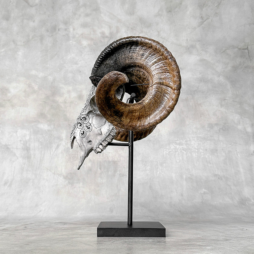 Carved Ram Skull with Flower Of life motif on stand - Skull,A/158