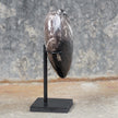 Wonderful Petrified Wood Heart-Shaped on a Custom Stand PWH/023