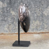 Wonderful Petrified Wood Heart-Shaped on a Custom Stand PWH/023