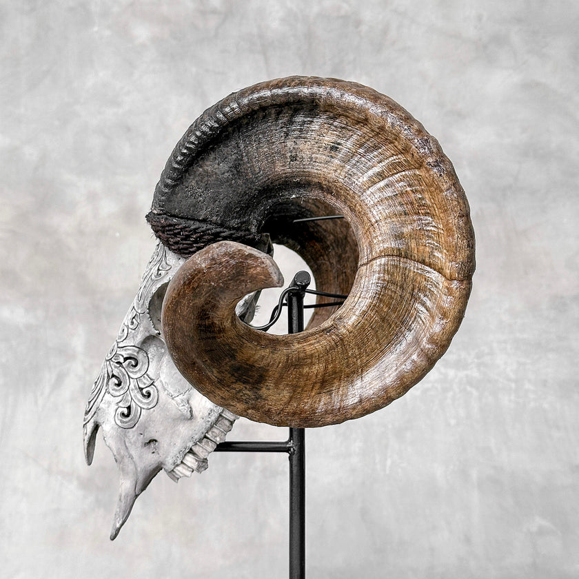 Carved Ram Skull with Flower Of life motif on stand - Skull,A/158