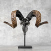 Carved Ram Skull with Flower Of life motif on stand - Skull,A/158