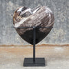 Wonderful Petrified Wood Heart-Shaped on a Custom Stand PWH/023