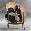 Stunning Petrified Wood Slice on Stand | PetW,A/002