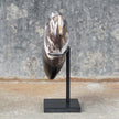 Wonderful Petrified Wood Heart-Shaped on a Custom Stand PWH/023