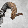 Carved Ram Skull with Flower Of life motif on stand - Skull,A/158