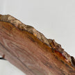 Beautiful Slice of Petrified Wood on stand PetW/091