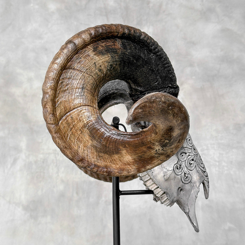 Carved Ram Skull with Flower Of life motif on stand - Skull,A/158
