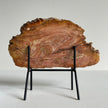 Beautiful Slice of Petrified Wood on stand PetW/091