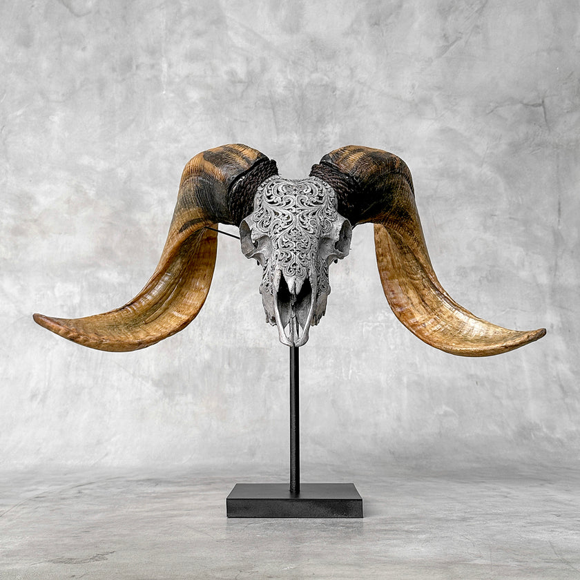 Carved Ram Skull with Tradbal motif on stand - Skull,A/159