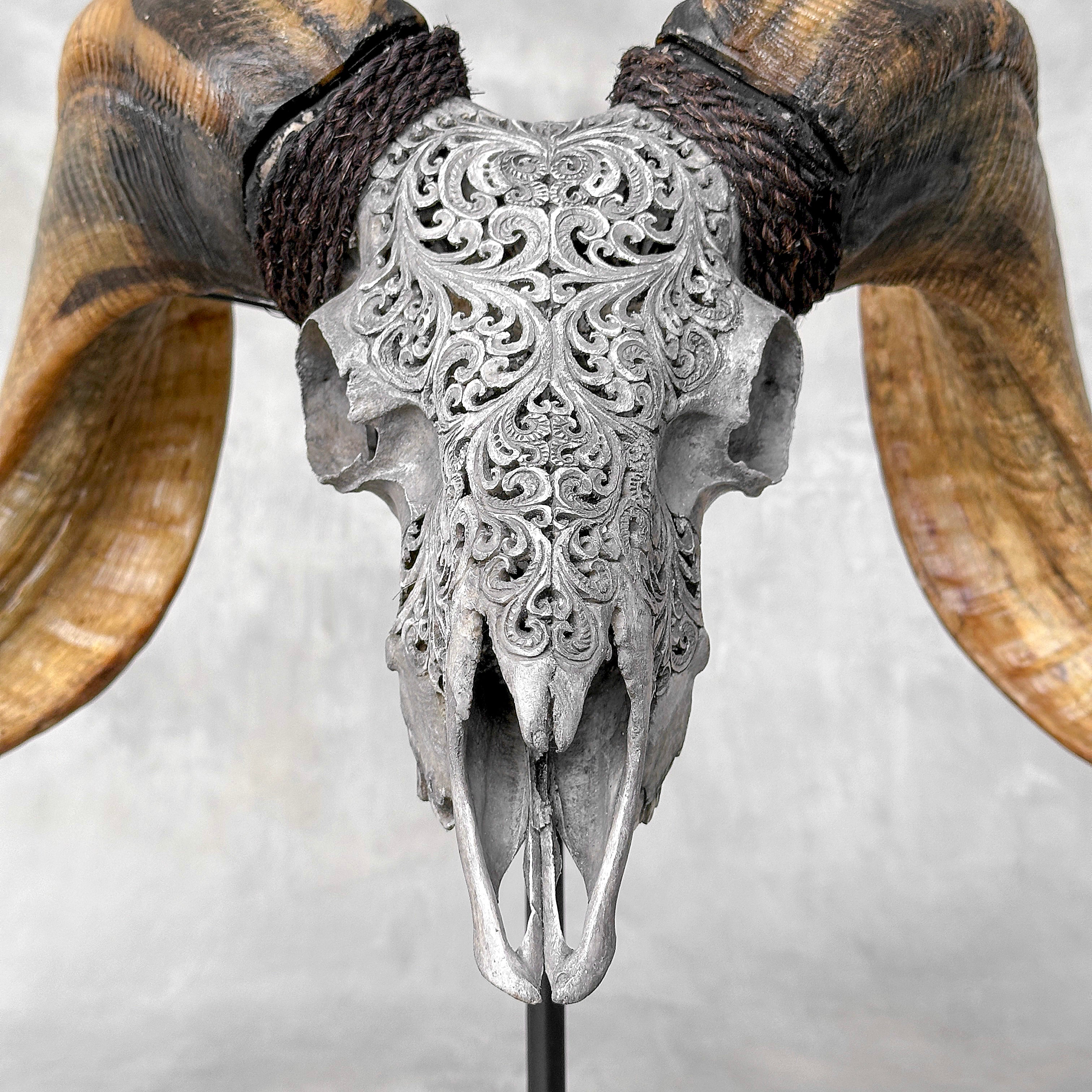 Carved Ram Skull with Tradbal motif on stand - Skull,A/159