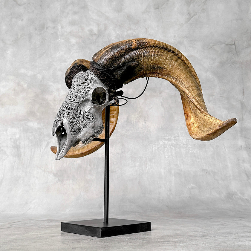 Carved Ram Skull with Tradbal motif on stand - Skull,A/159