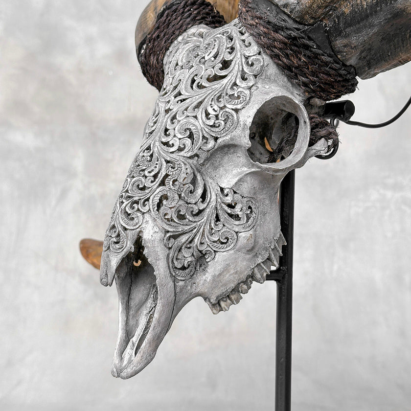 Carved Ram Skull with Tradbal motif on stand - Skull,A/159