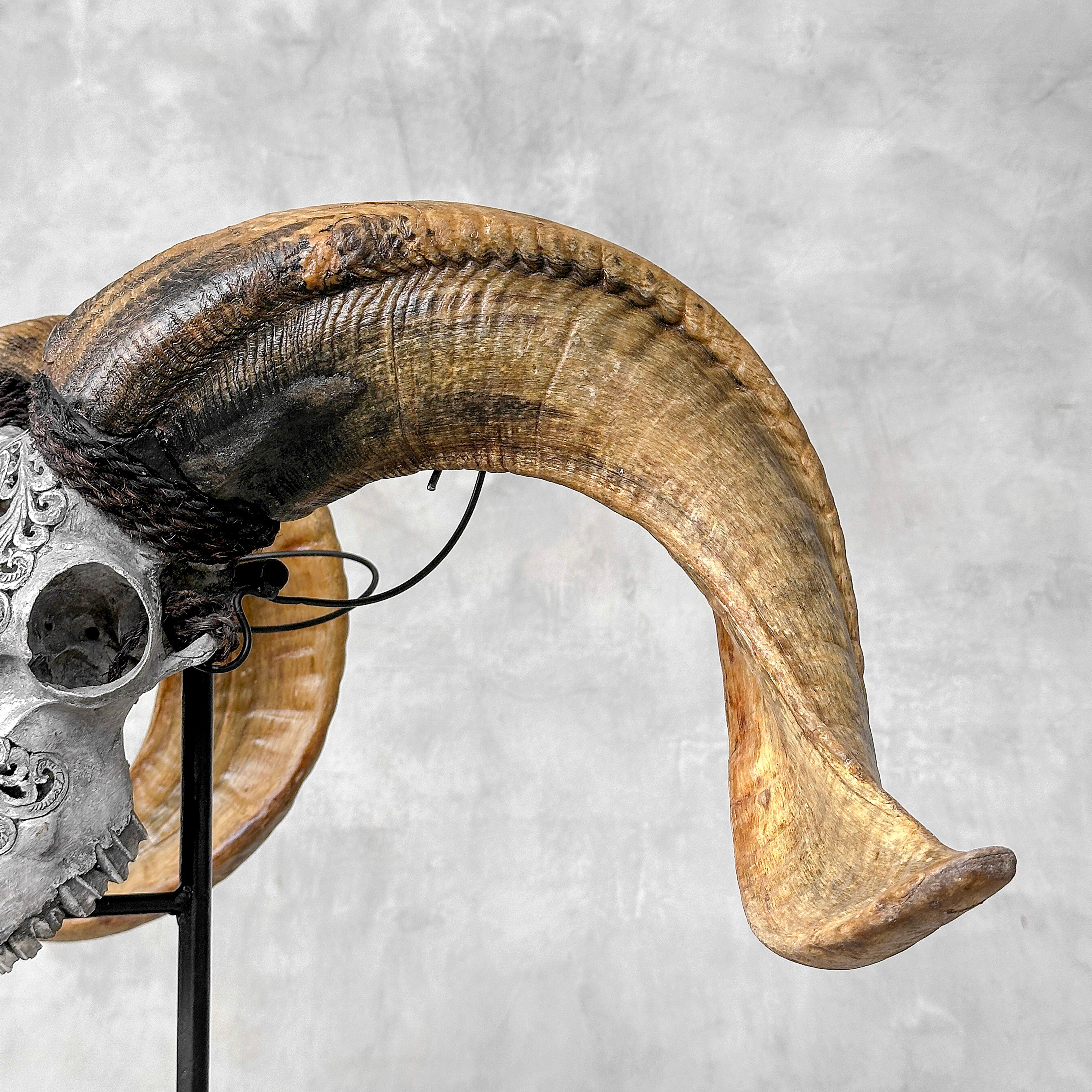 Carved Ram Skull with Tradbal motif on stand - Skull,A/159