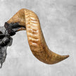 Carved Ram Skull with Tradbal motif on stand - Skull,A/159