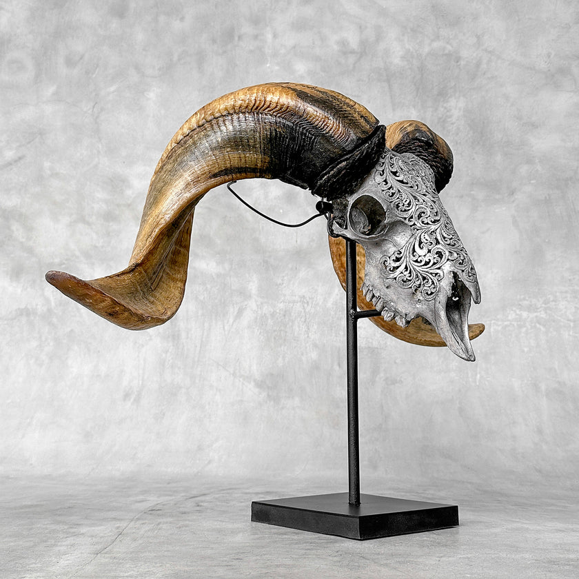 Carved Ram Skull with Tradbal motif on stand - Skull,A/159
