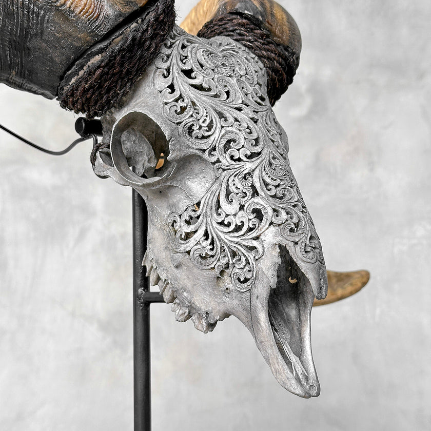Carved Ram Skull with Tradbal motif on stand - Skull,A/159