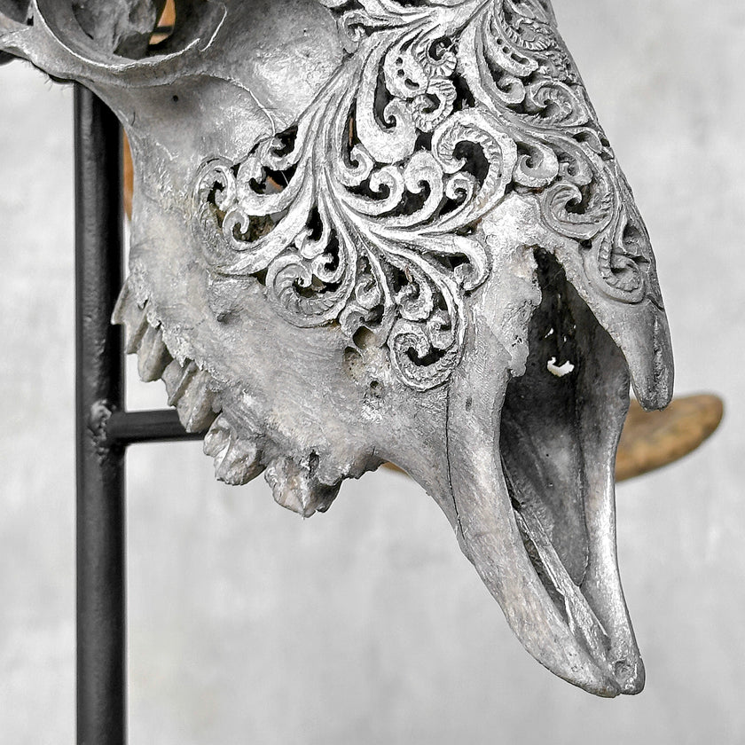 Carved Ram Skull with Tradbal motif on stand - Skull,A/159