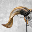 Carved Ram Skull with Tradbal motif on stand - Skull,A/159