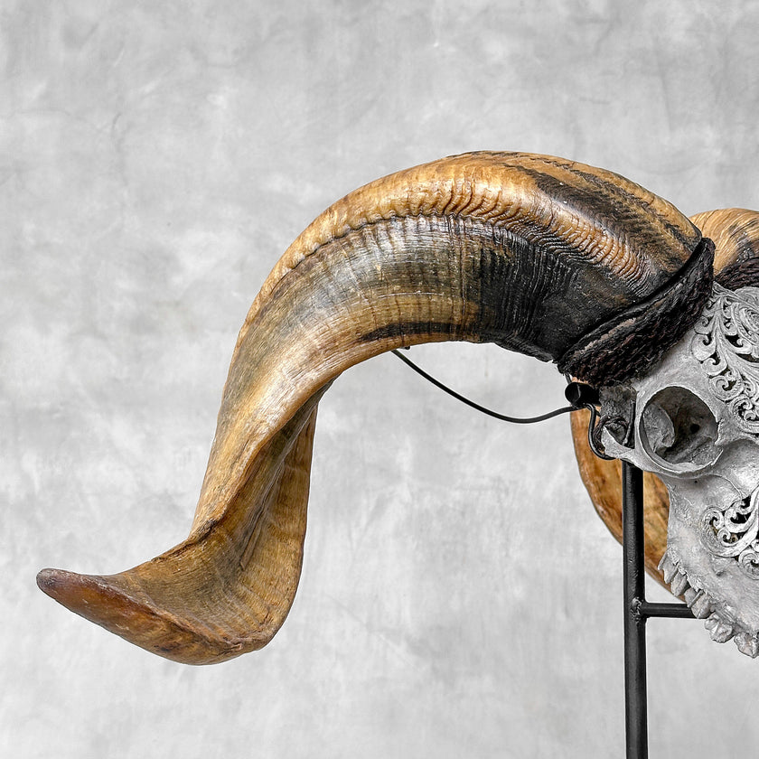 Carved Ram Skull with Tradbal motif on stand - Skull,A/159