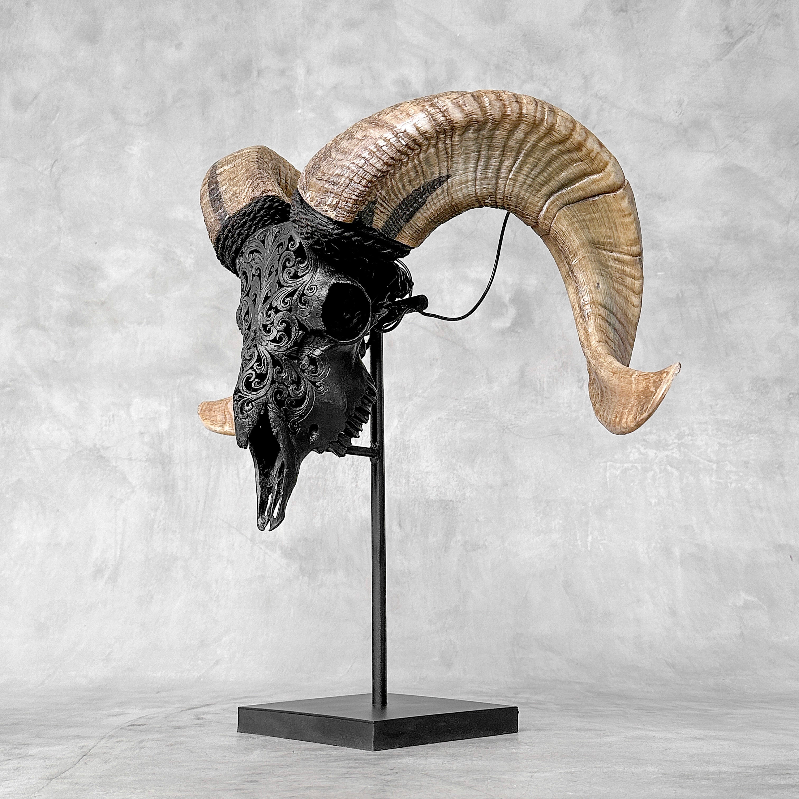 Carved Ram Skull with Tradbal motif on stand - Skull,A/157