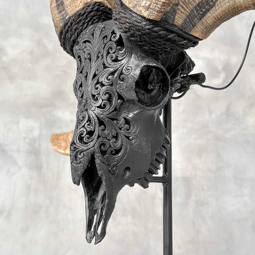 Carved Ram Skull with Tradbal motif on stand - Skull,A/157