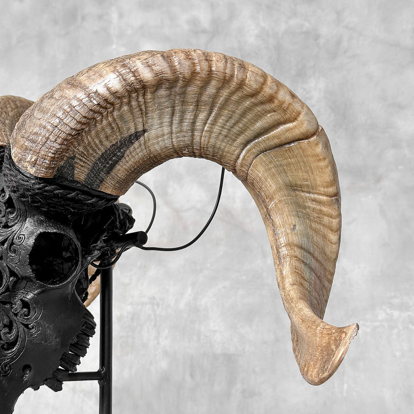 Carved Ram Skull with Tradbal motif on stand - Skull,A/157