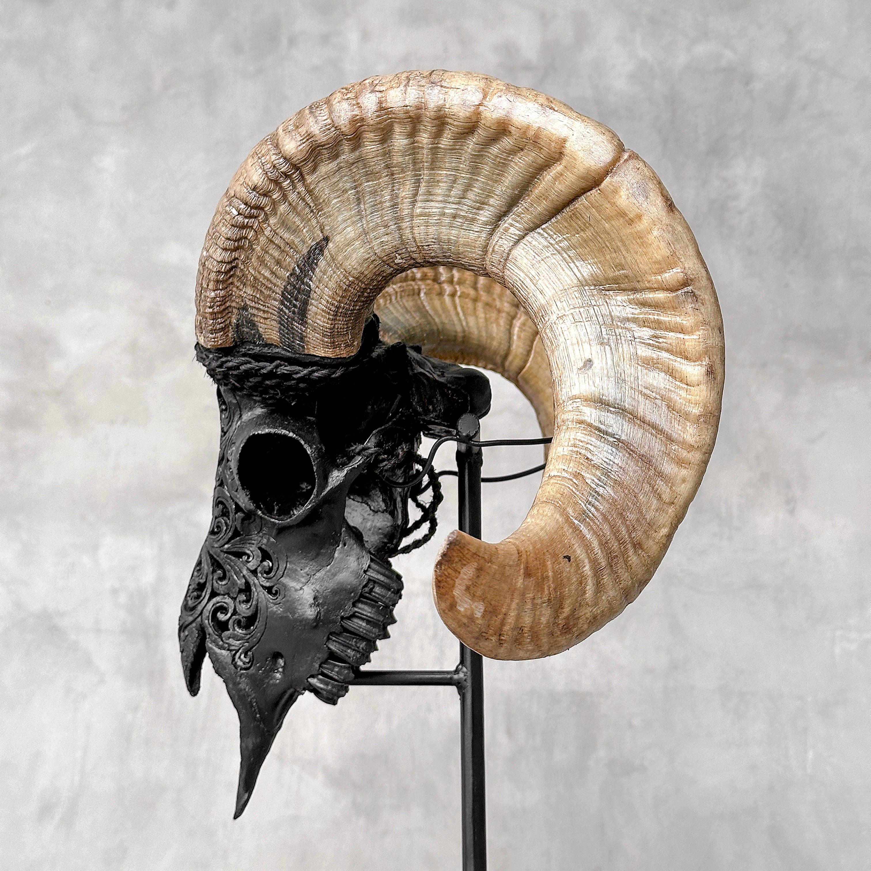 Carved Ram Skull with Tradbal motif on stand - Skull,A/157