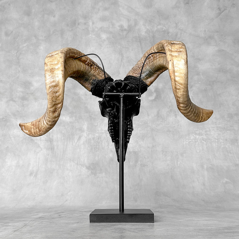 Carved Ram Skull with Tradbal motif on stand - Skull,A/157