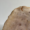 Beautiful Slice of Petrified Wood on stand PetW/042