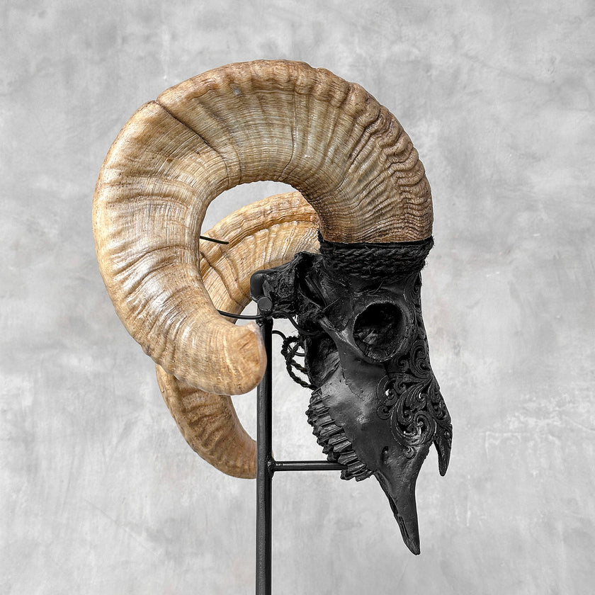 Carved Ram Skull with Tradbal motif on stand - Skull,A/157